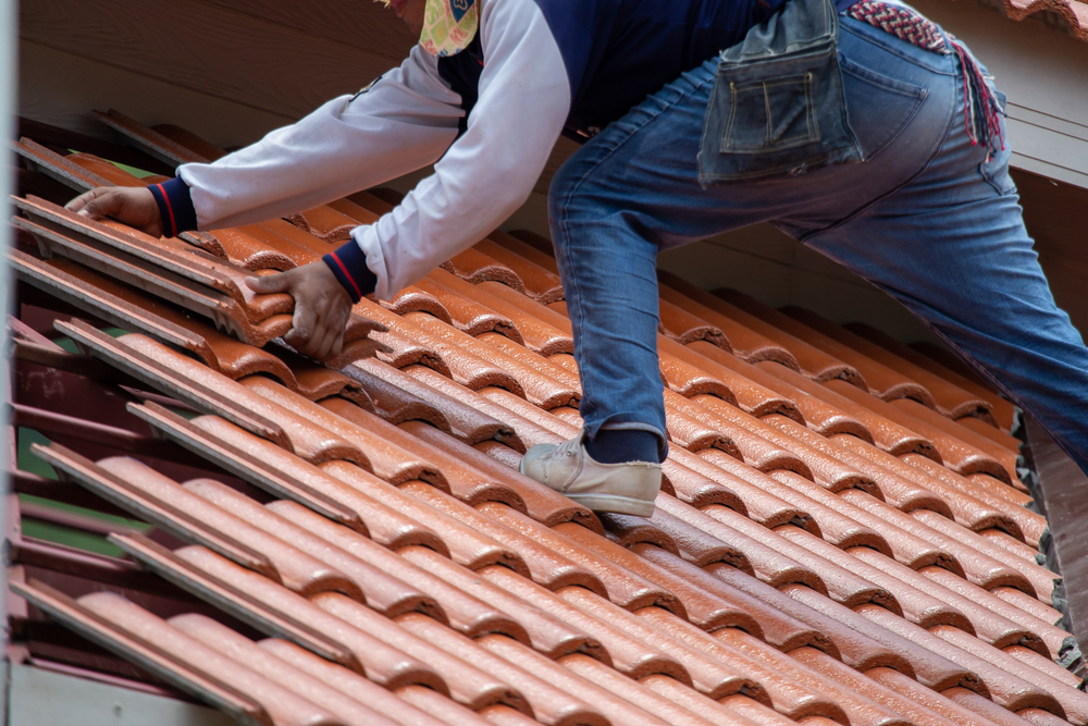 Colorbond roofing close-up
